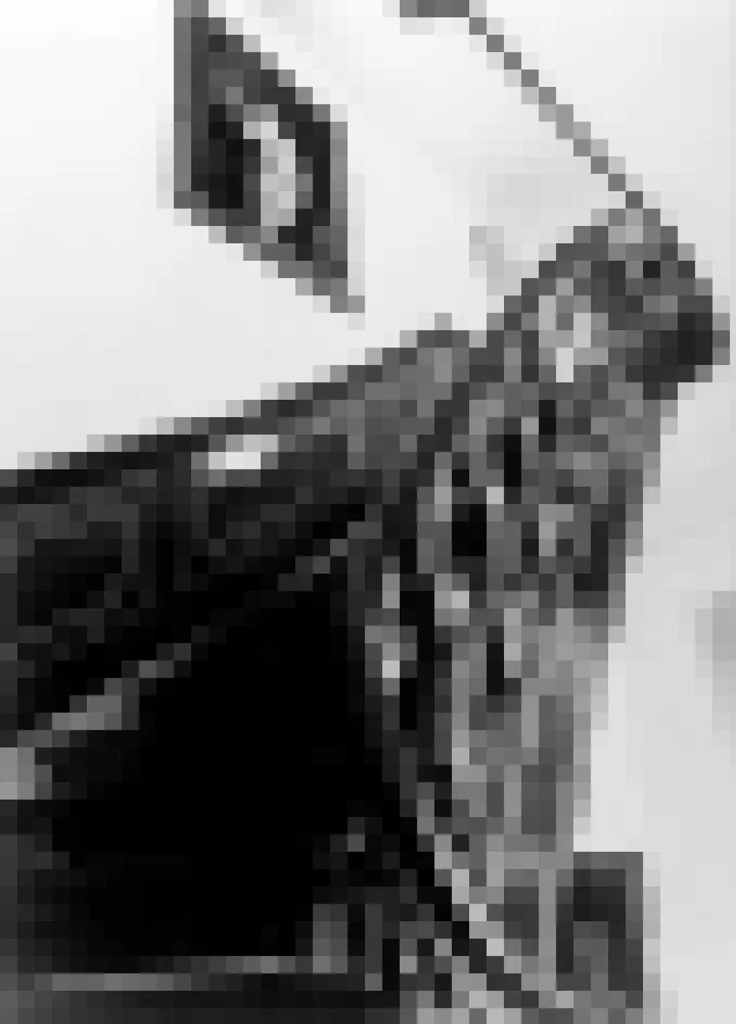 Keizersgracht 321 Amsterdam thumbnail 45