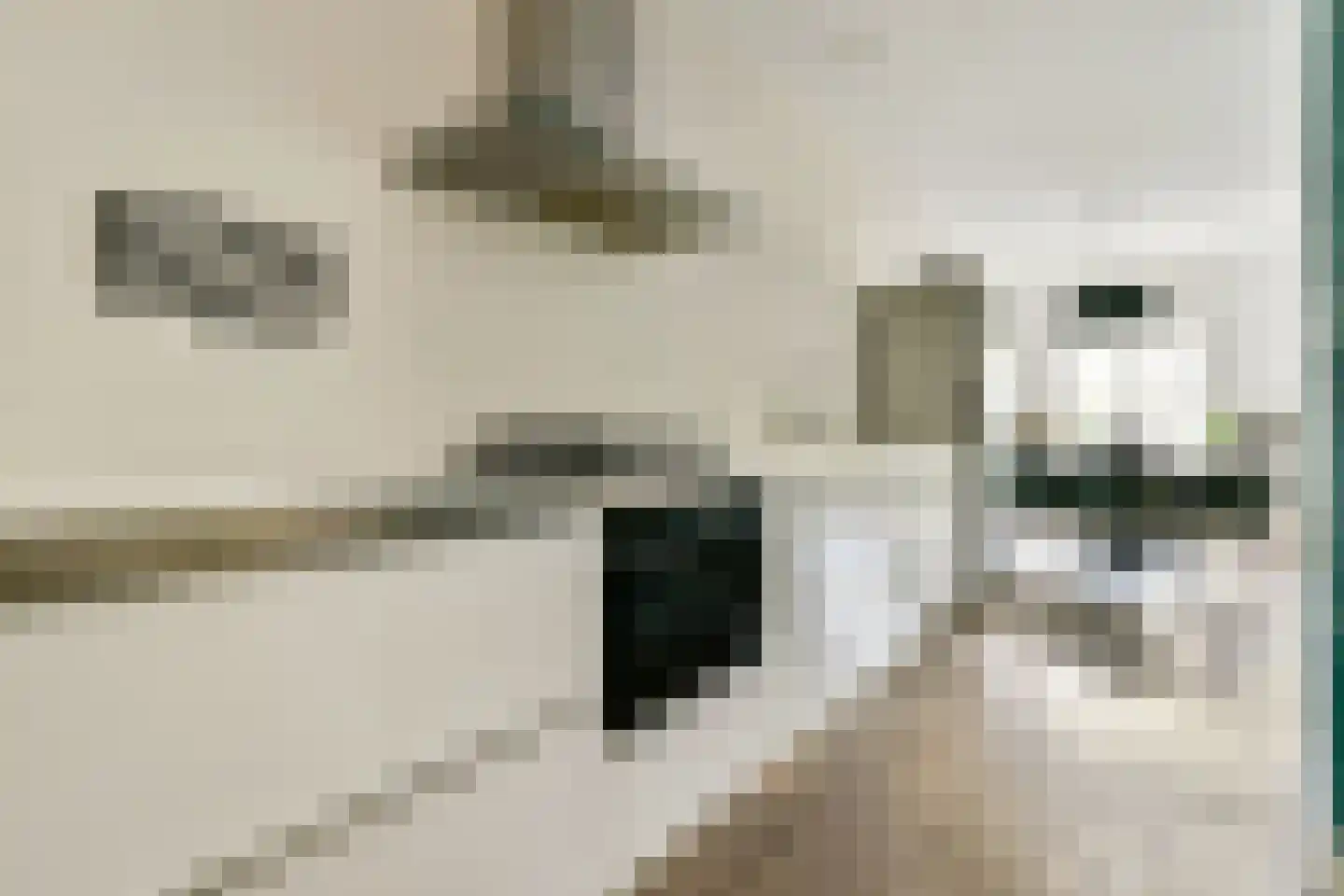 Keizersgracht 341 B Amsterdam thumbnail 6
