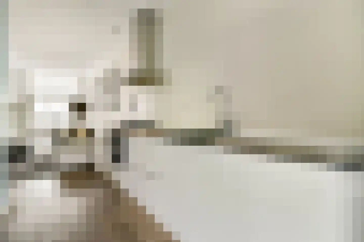 Keizersgracht 341 B Amsterdam thumbnail 7