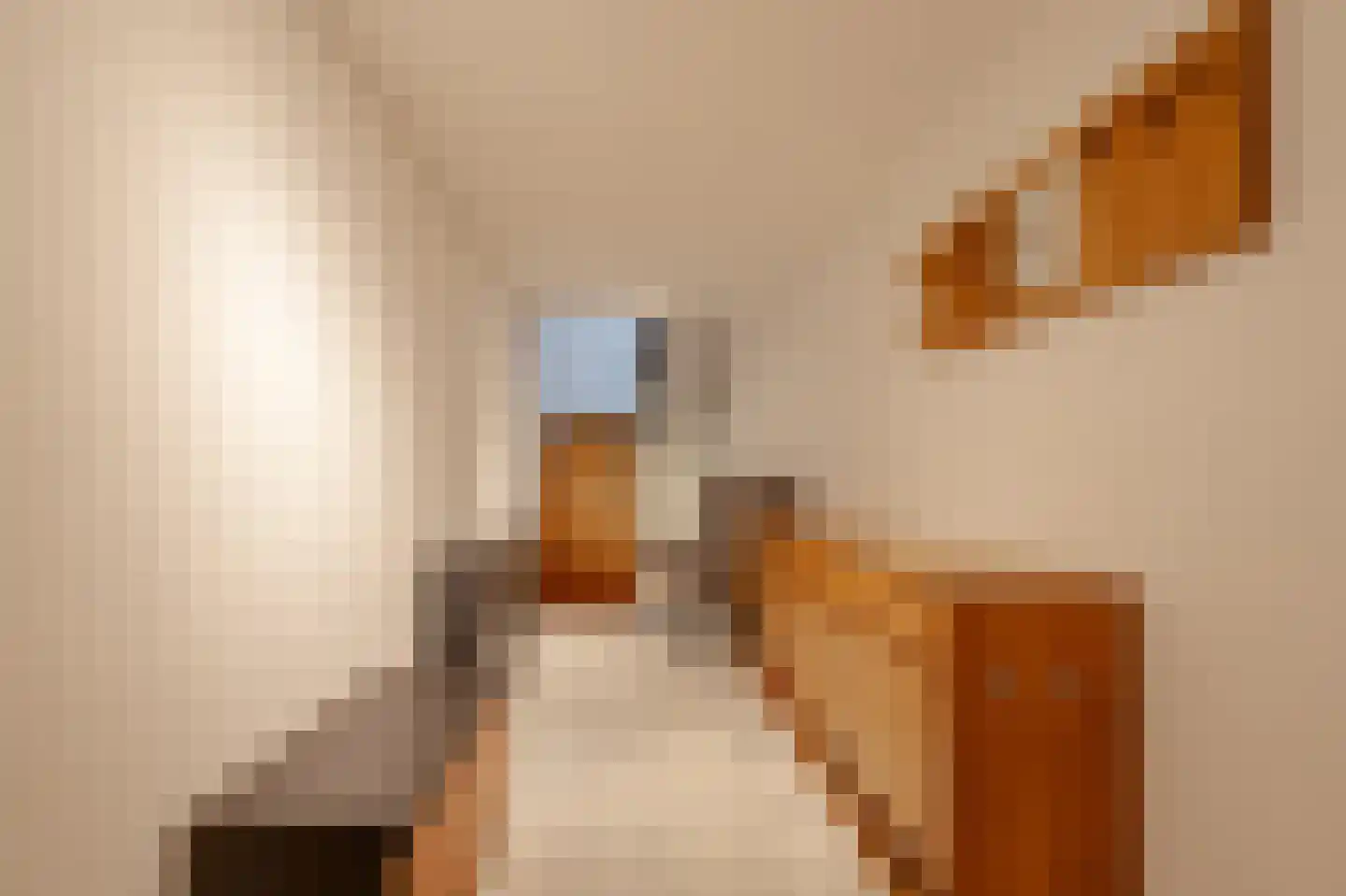 Keizersgracht 345 O Amsterdam thumbnail 6