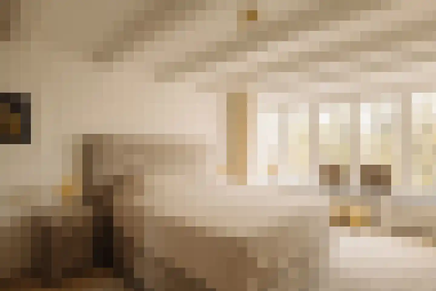 Keizersgracht 355 Amsterdam thumbnail 32
