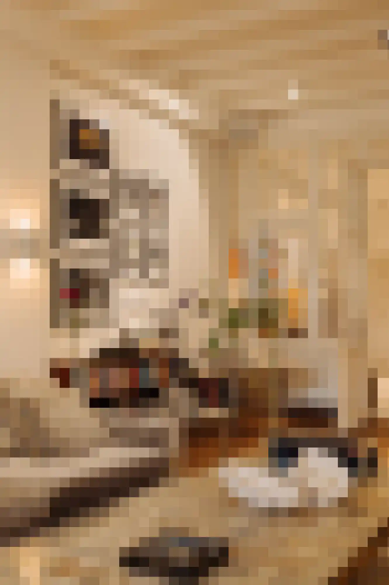 Keizersgracht 378 A Amsterdam thumbnail 9