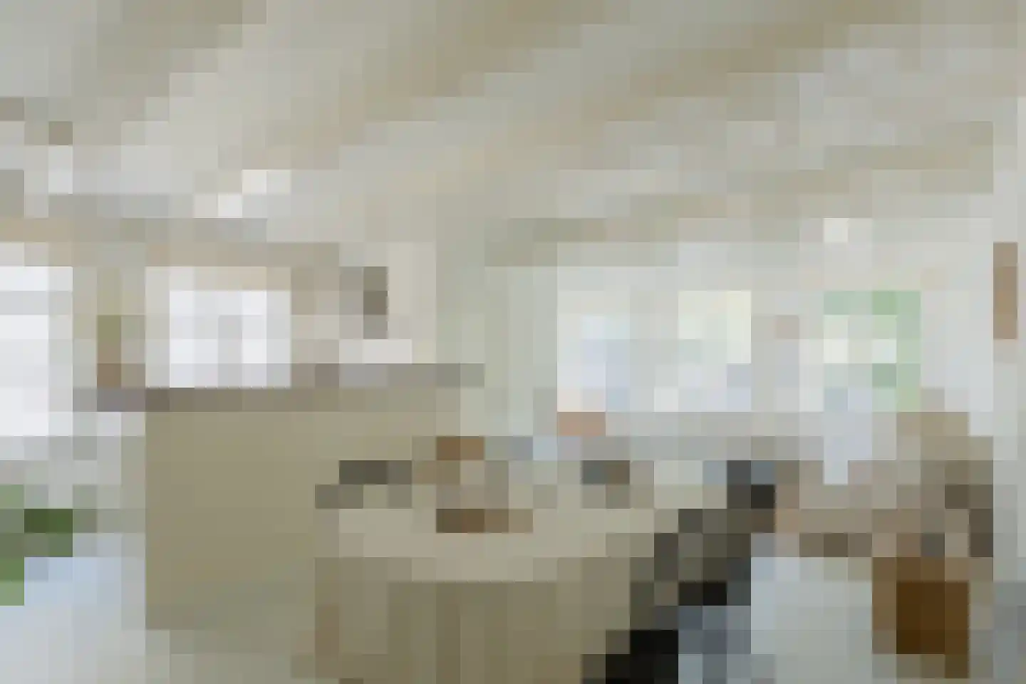 Keizersgracht 402 1 Amsterdam thumbnail 12