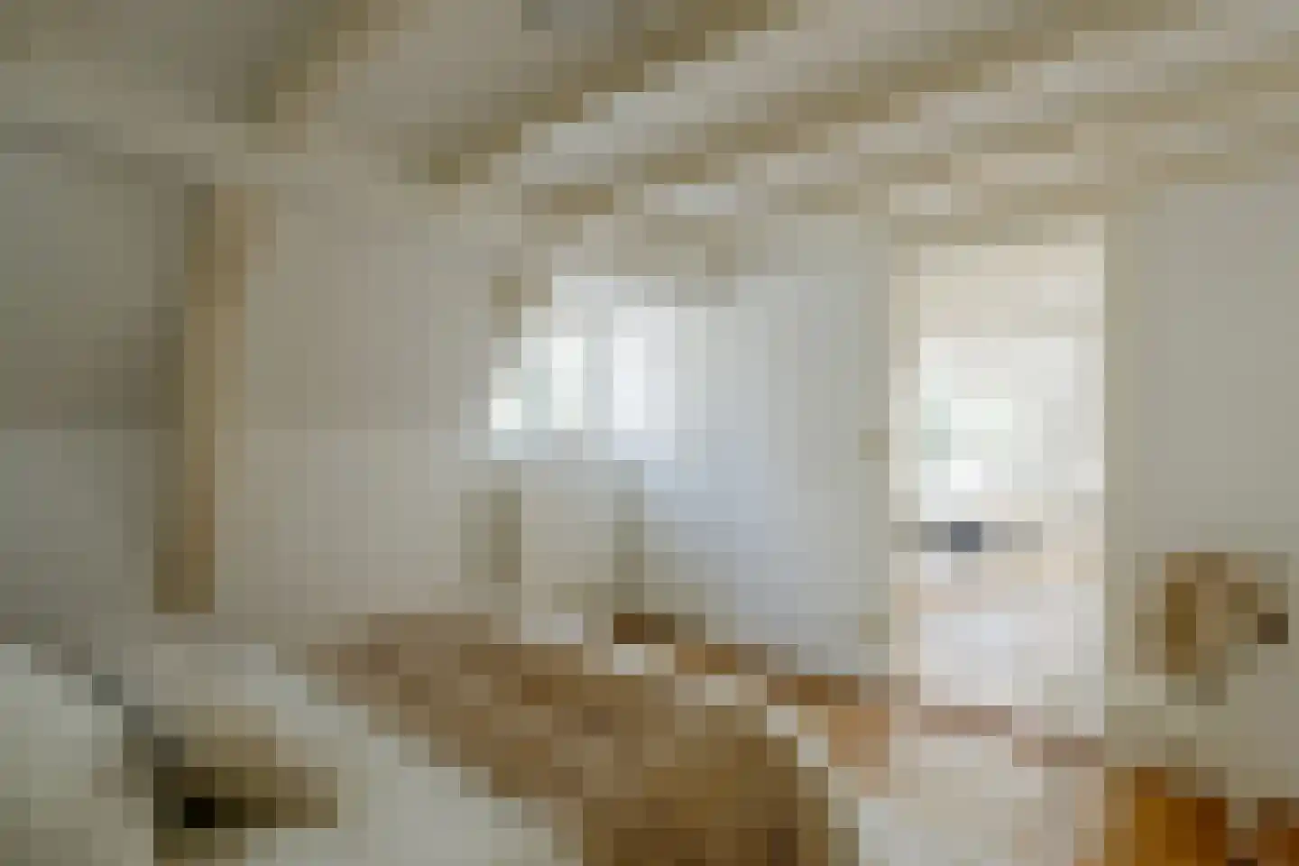 Keizersgracht 402 1 Amsterdam thumbnail 24