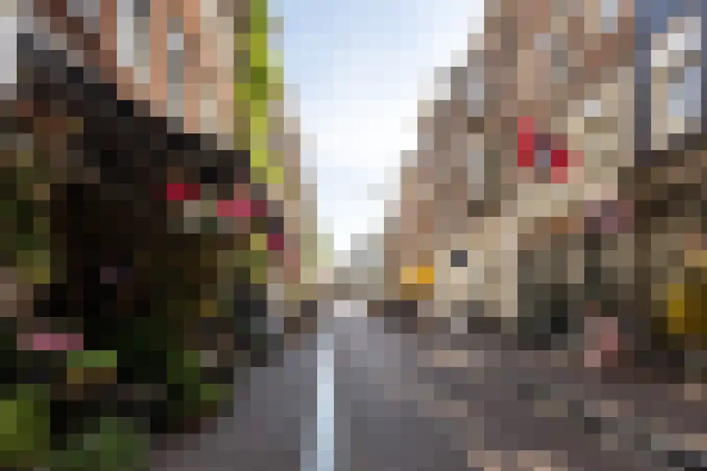 Keizersgracht 402 1 Amsterdam thumbnail 41
