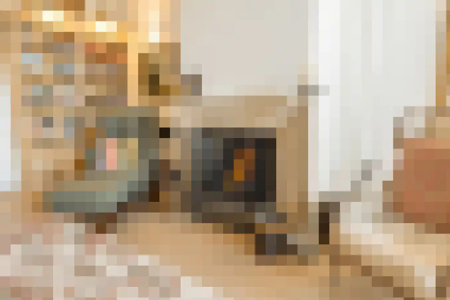 Keizersgracht 430 F Amsterdam thumbnail 11