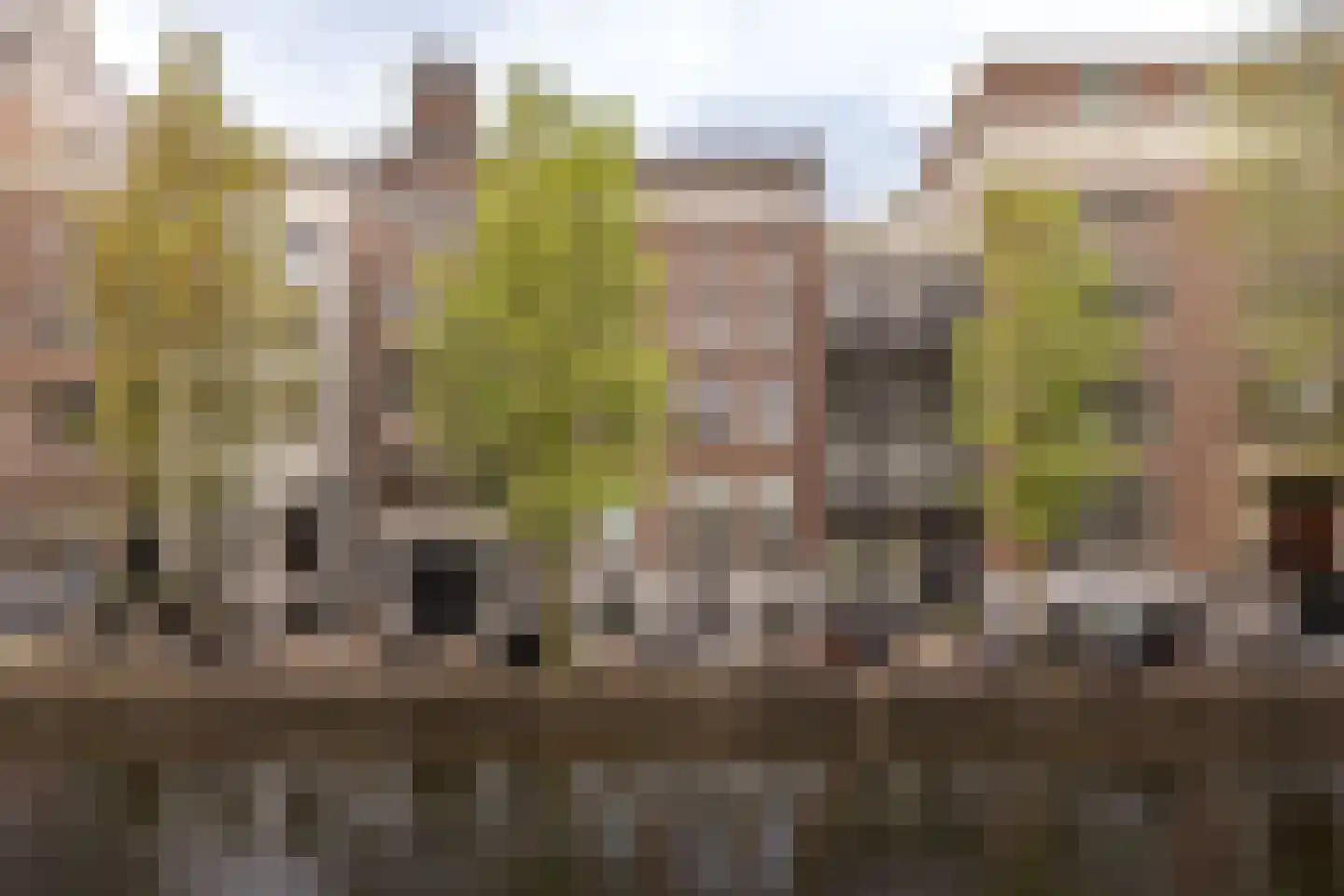 Keizersgracht 430 F Amsterdam thumbnail 21