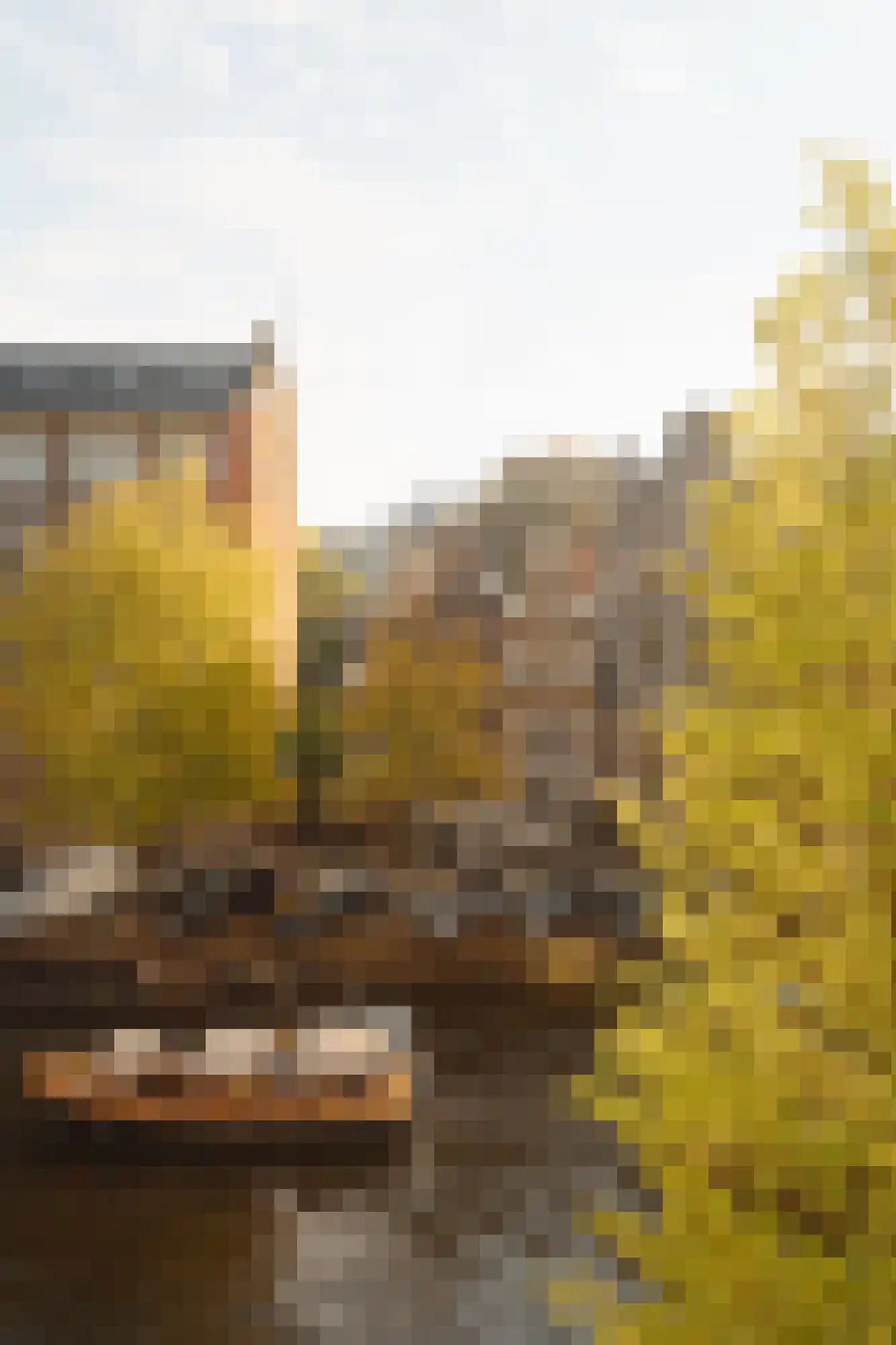 Keizersgracht 430 G Amsterdam thumbnail 14