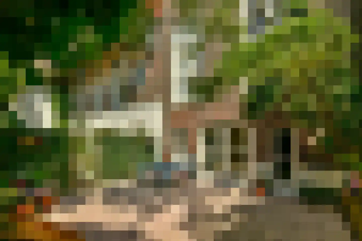 Keizersgracht 444 A Amsterdam thumbnail 23