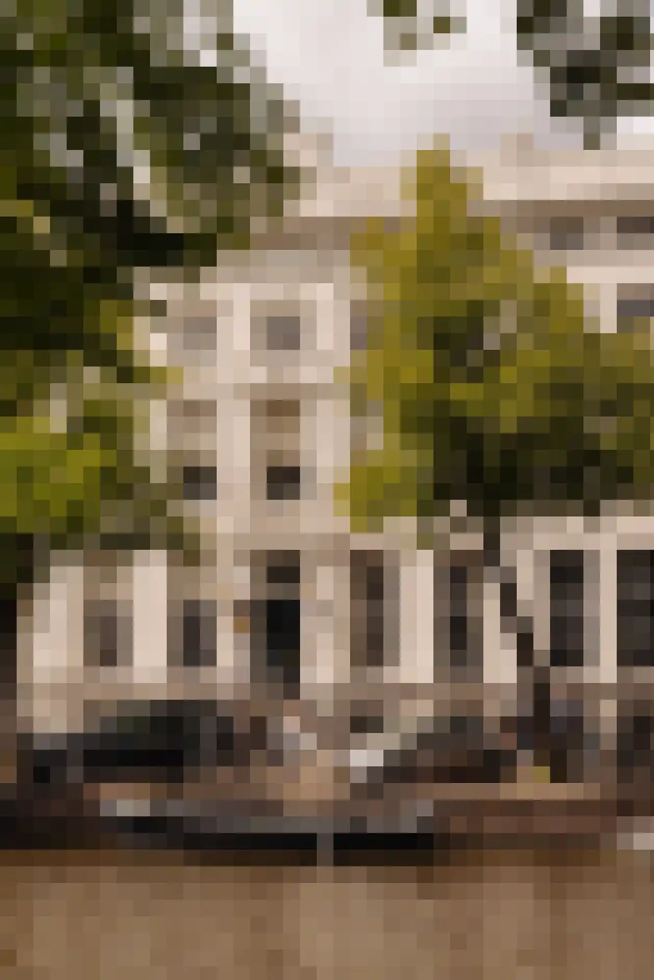 Keizersgracht 446 B Amsterdam thumbnail 16