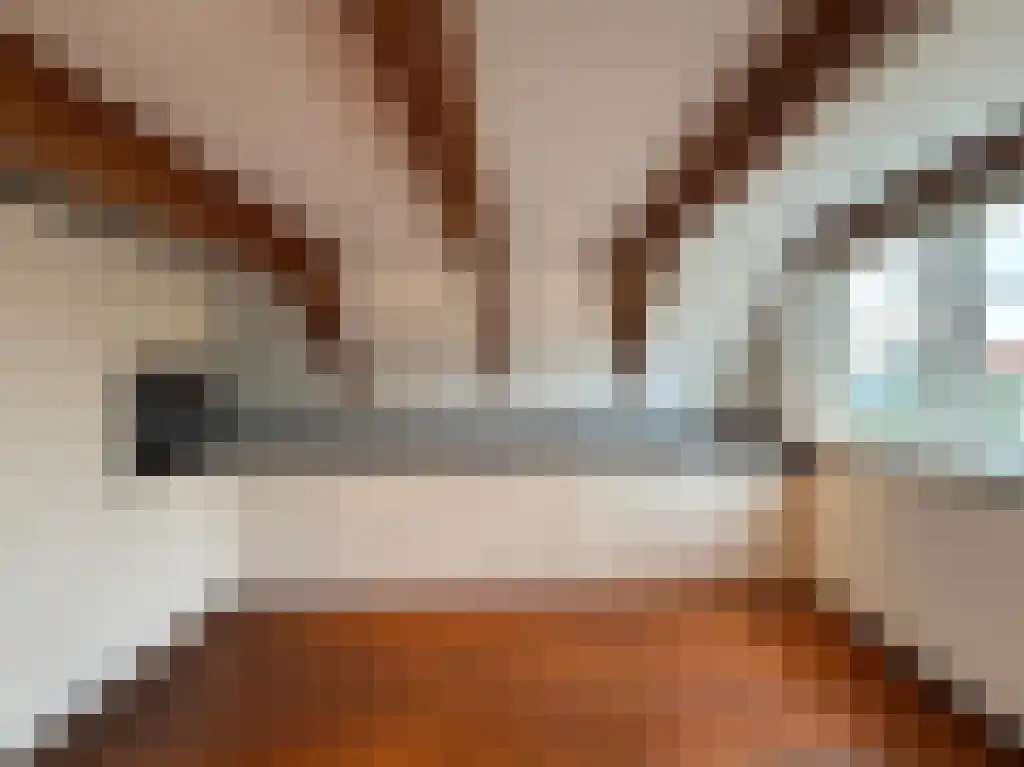 Keizersgracht 447 Amsterdam thumbnail 5