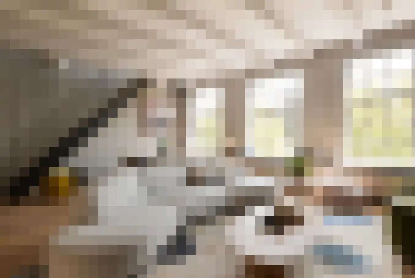 Keizersgracht 448 C Amsterdam thumbnail 15