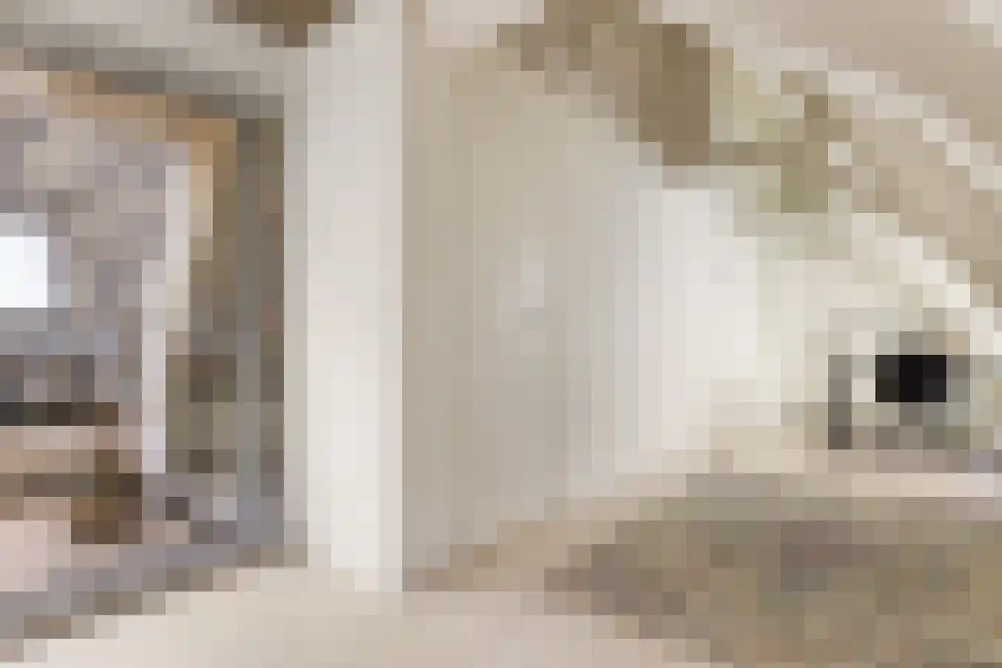 Keizersgracht 483 C Amsterdam thumbnail 20