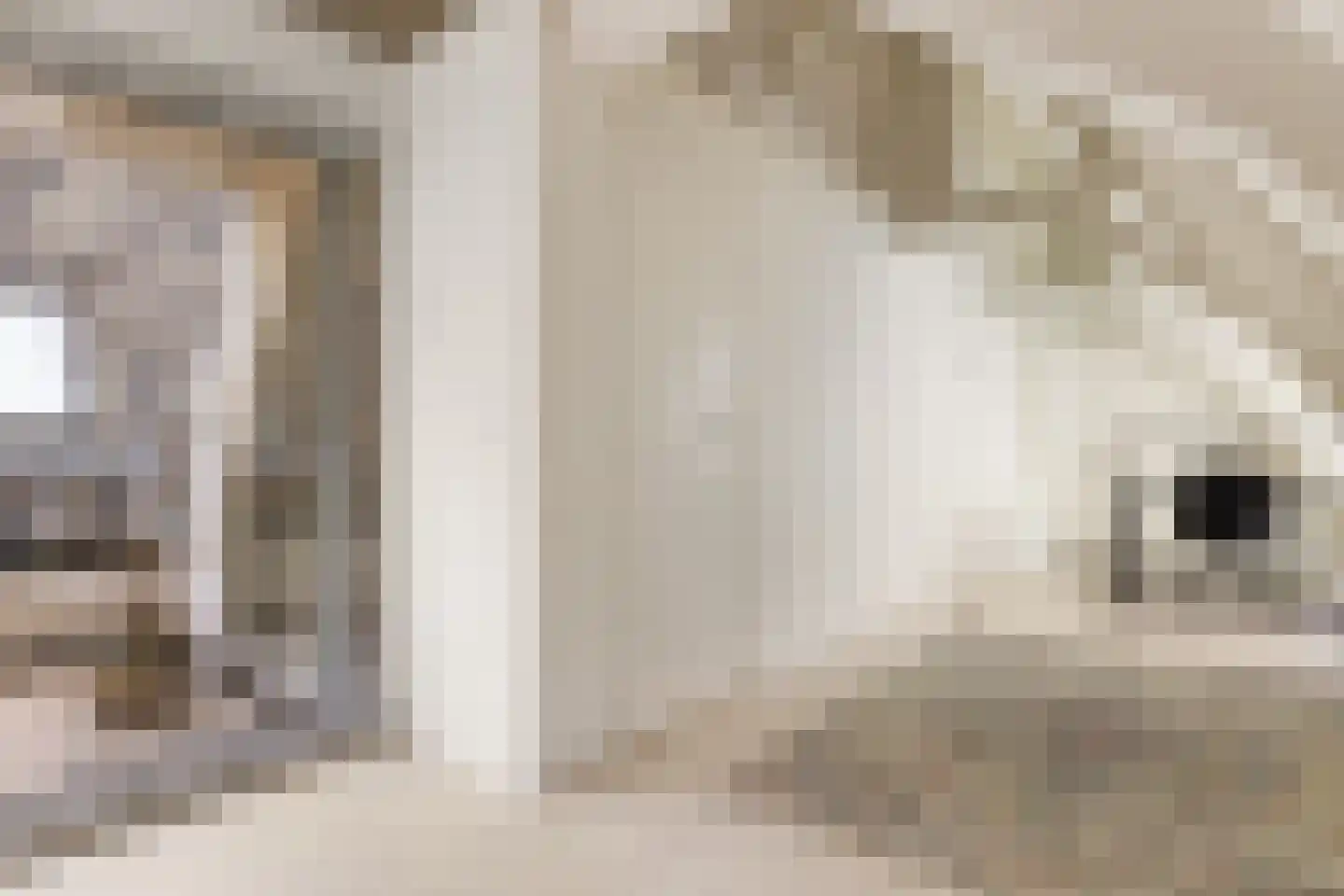 Keizersgracht 483 C Amsterdam thumbnail 20