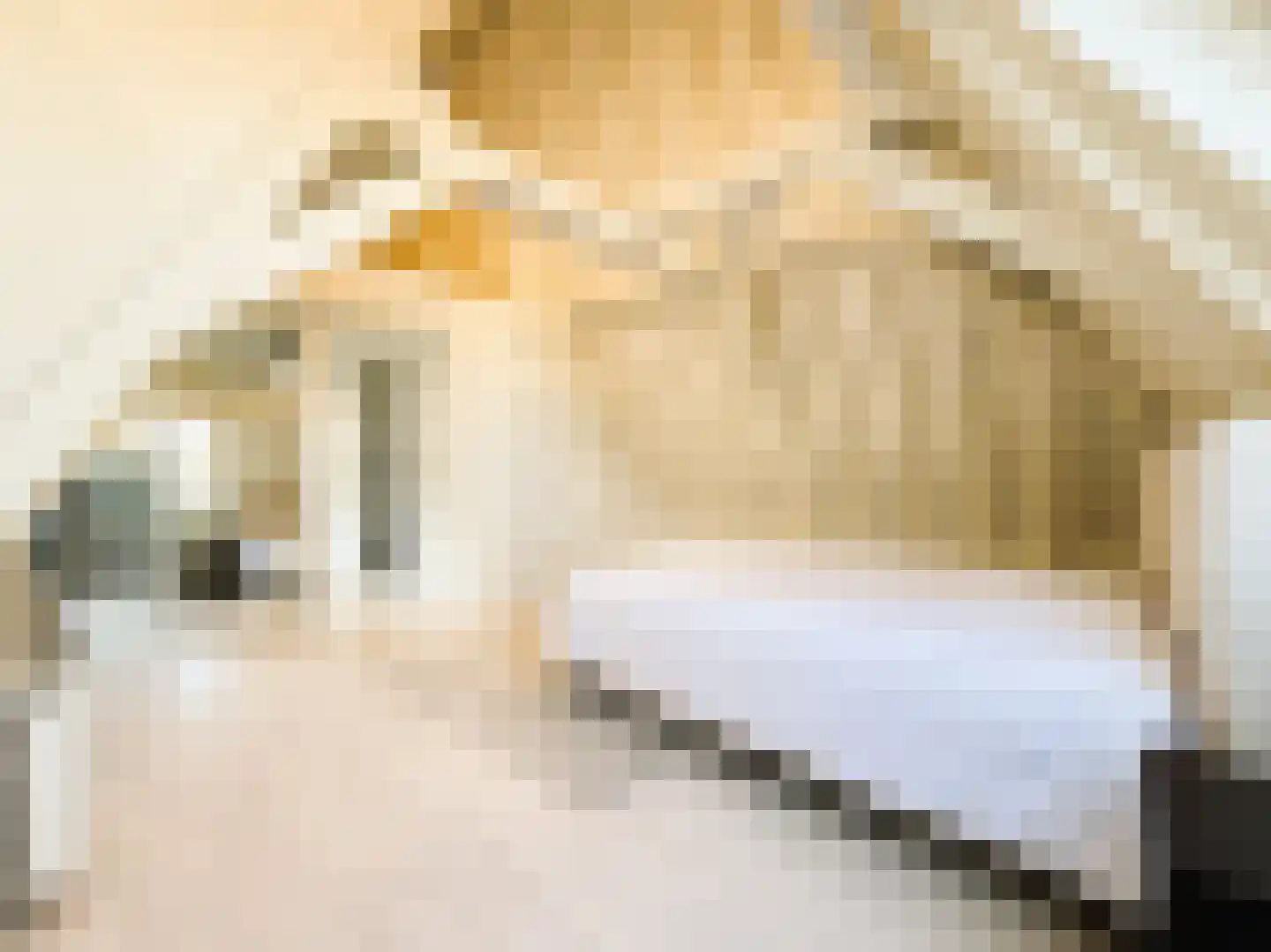 Keizersgracht 483 C Amsterdam thumbnail 25