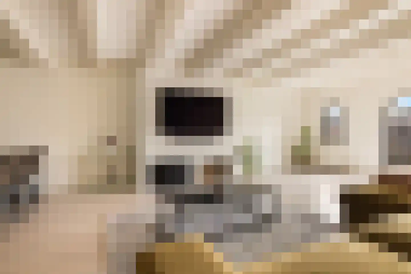 Keizersgracht 483 C Amsterdam thumbnail 7