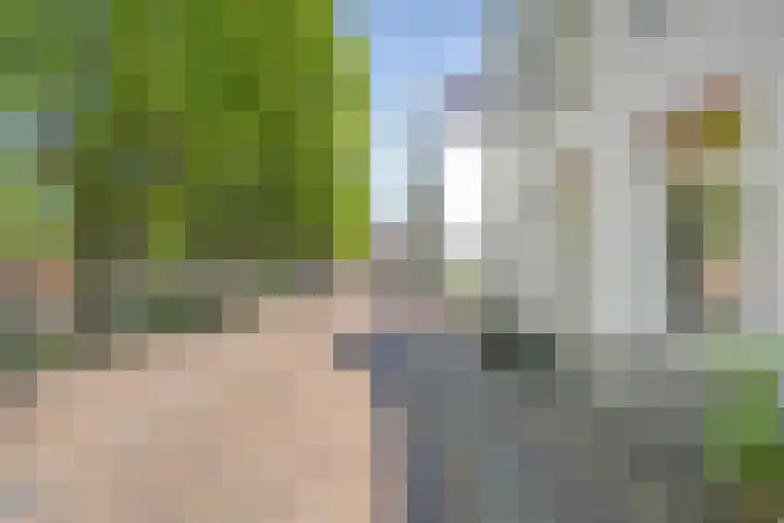 Keizersgracht 49 B Den Helder thumbnail 38