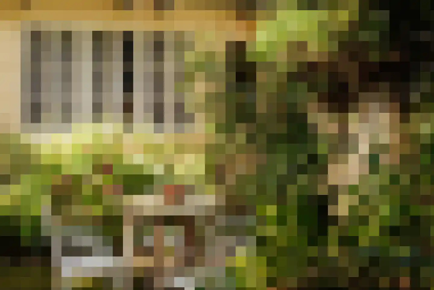 Keizersgracht 503 Amsterdam thumbnail 5