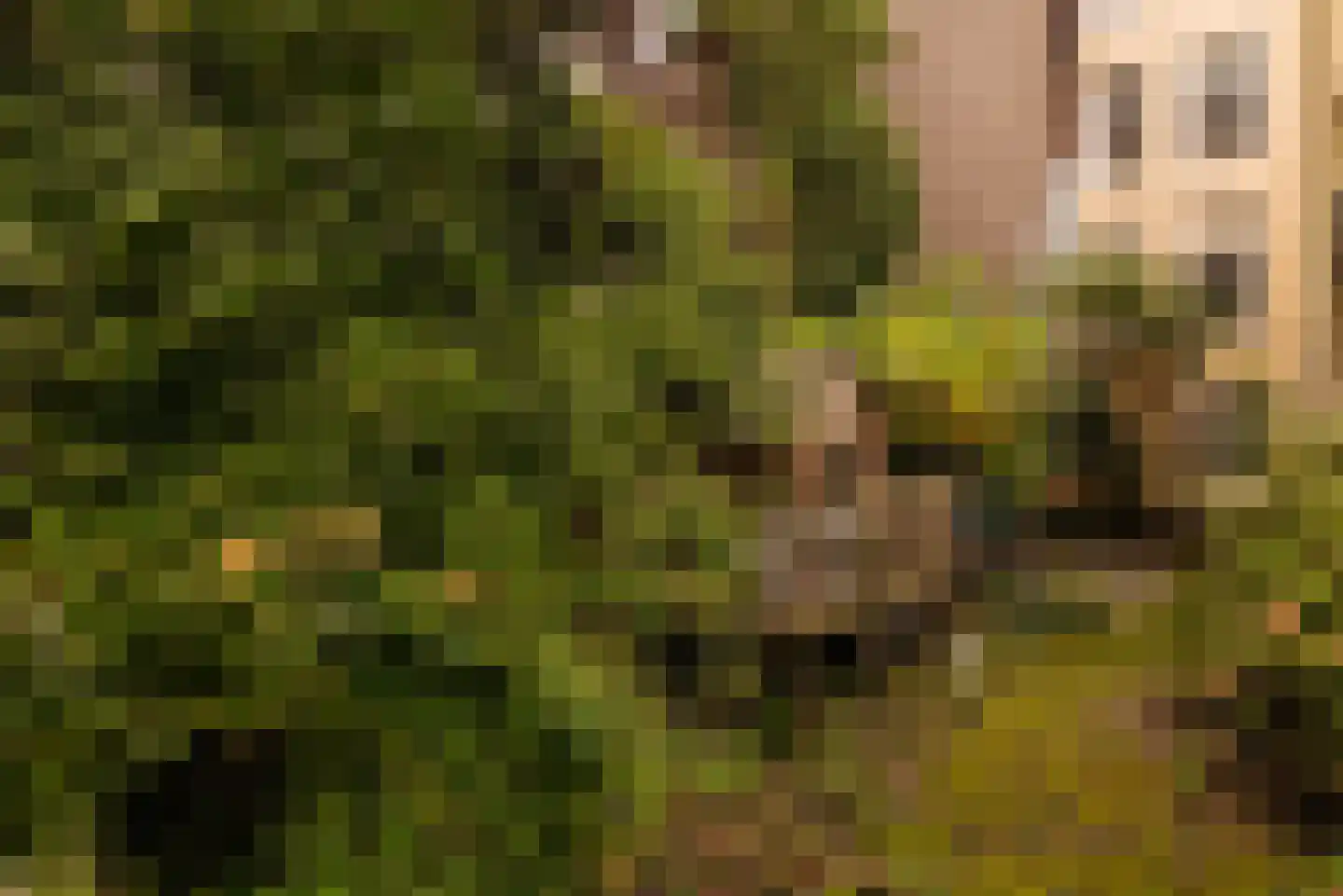 Keizersgracht 505 H Amsterdam thumbnail 18