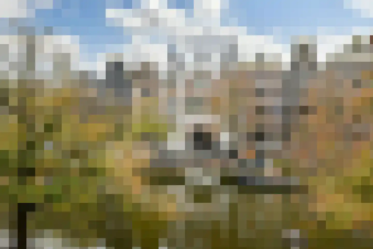 Keizersgracht 515 G Amsterdam thumbnail 12