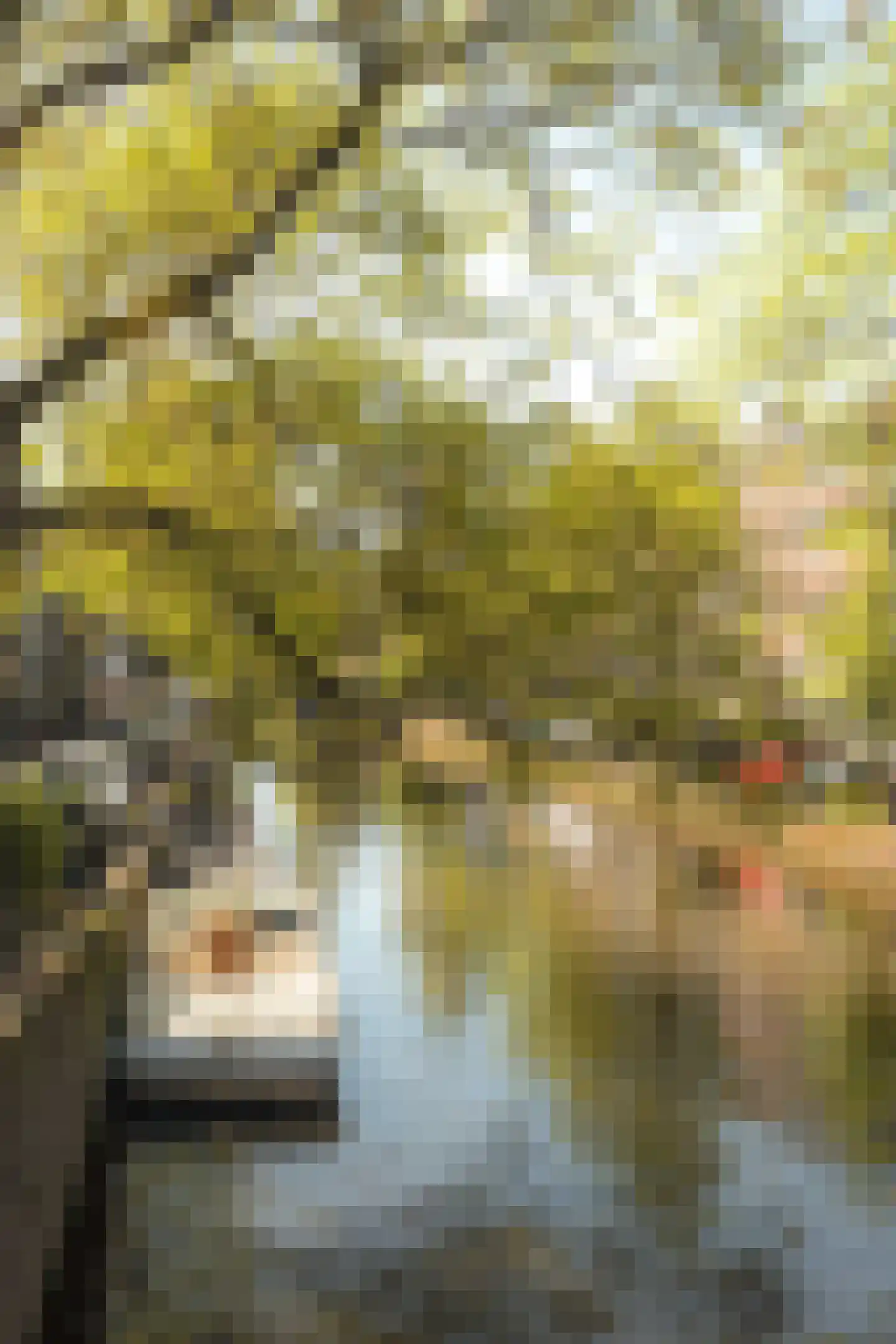 Keizersgracht 515 K Amsterdam thumbnail 29