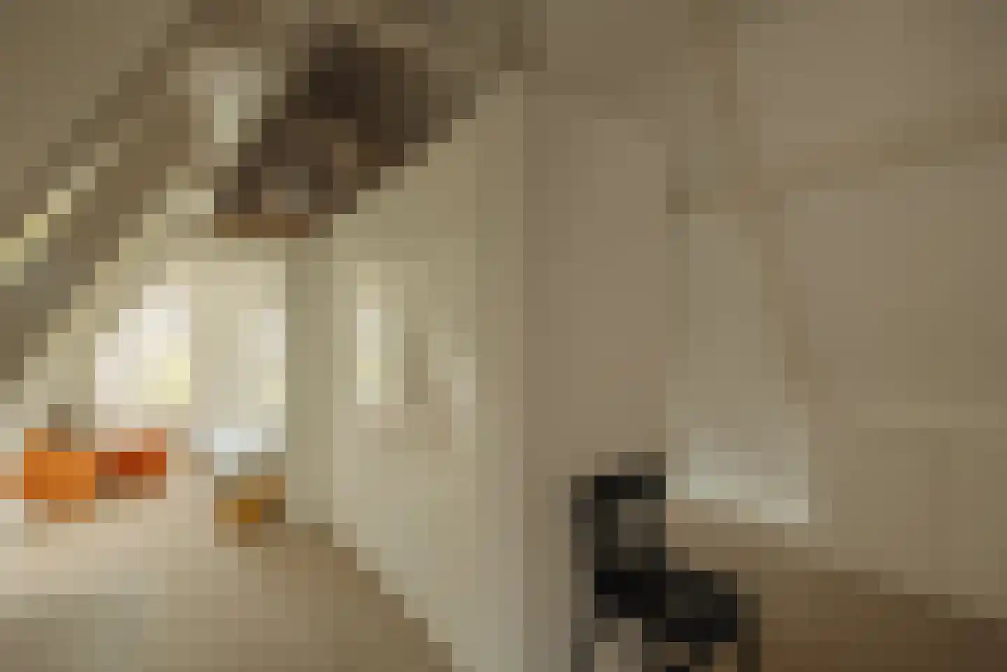 Keizersgracht 552 H Amsterdam thumbnail 32