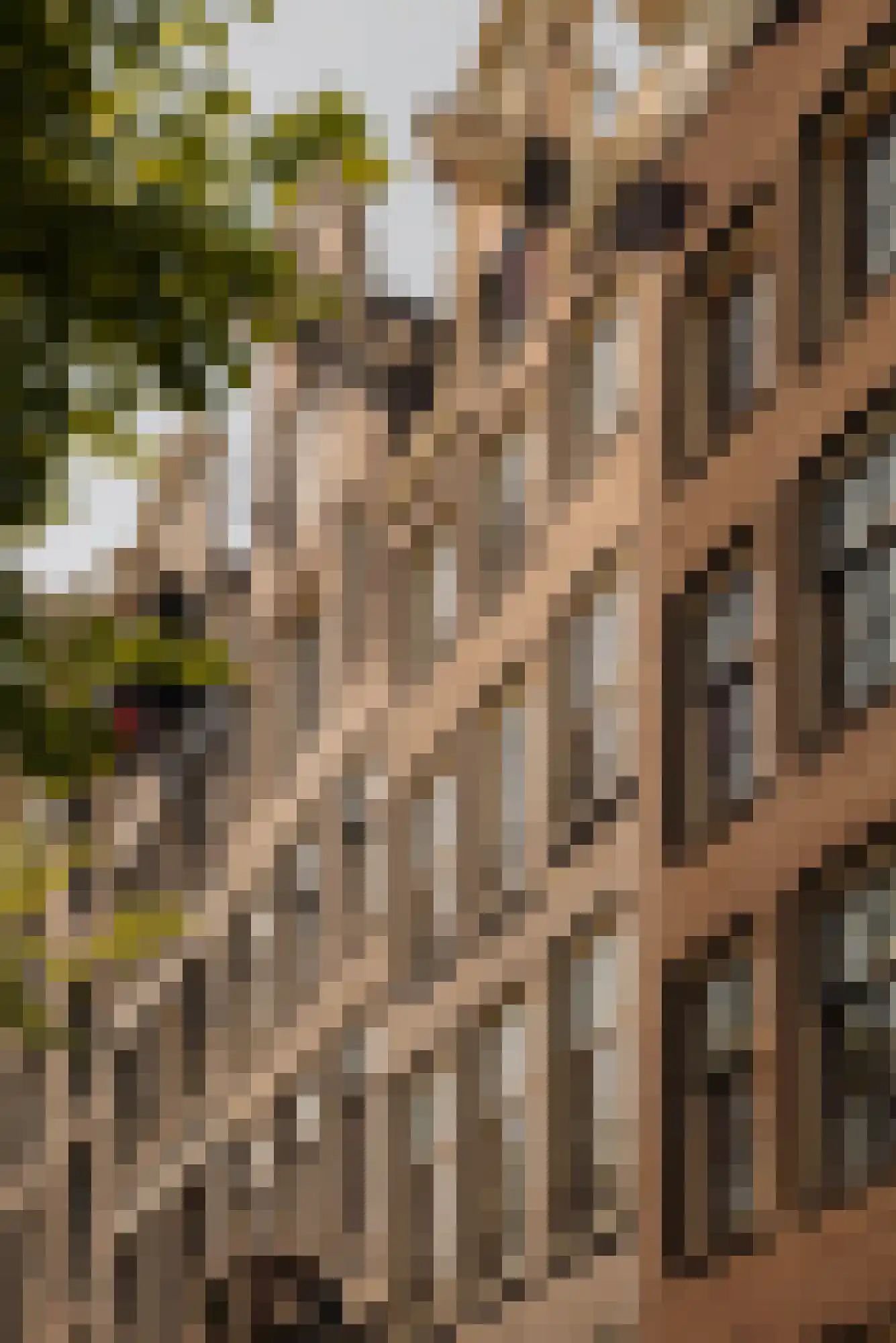 Keizersgracht 552 H Amsterdam thumbnail 4