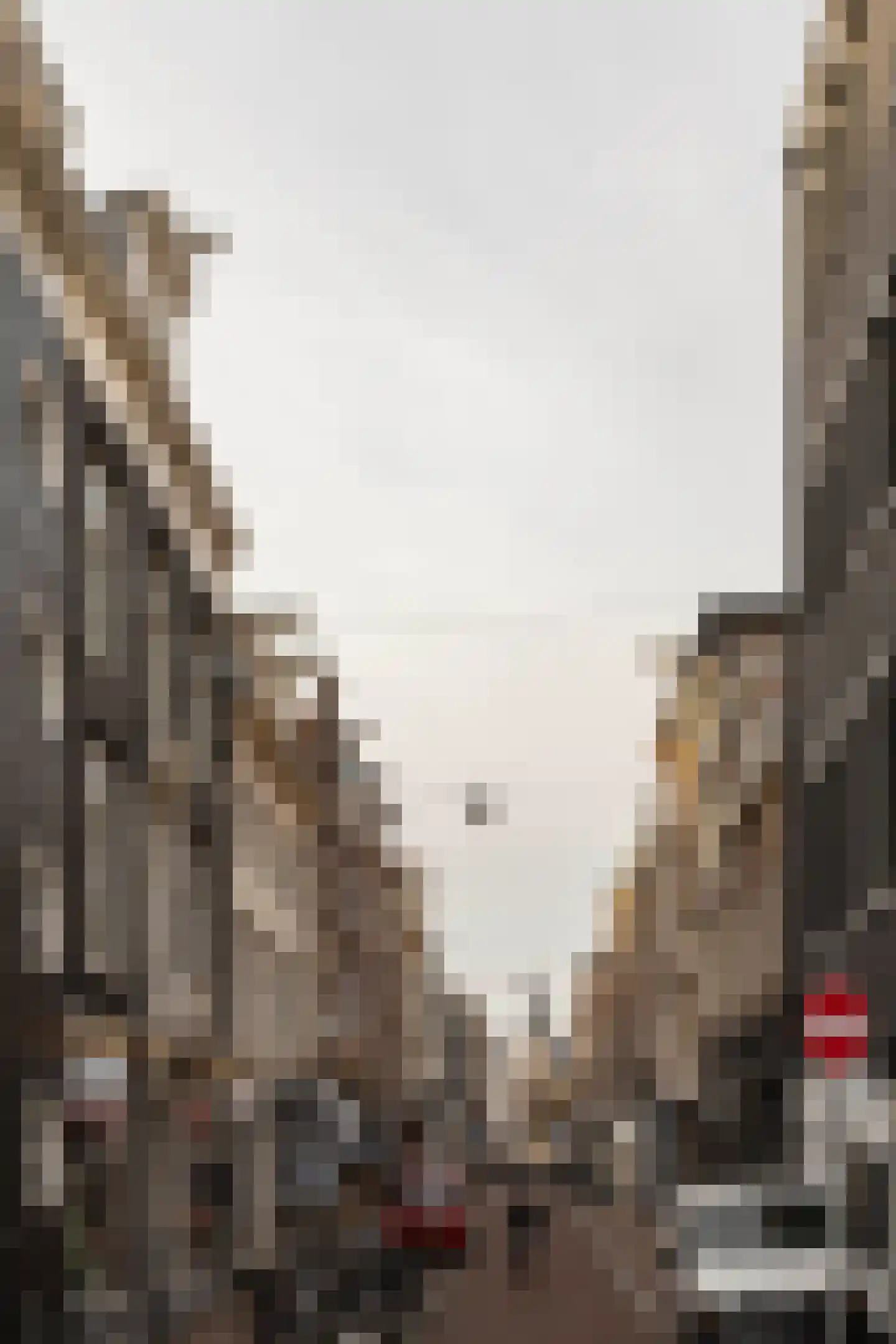 Keizersgracht 558 2 Amsterdam thumbnail 21