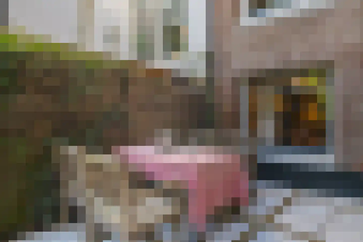 Keizersgracht 570 A Amsterdam thumbnail 49