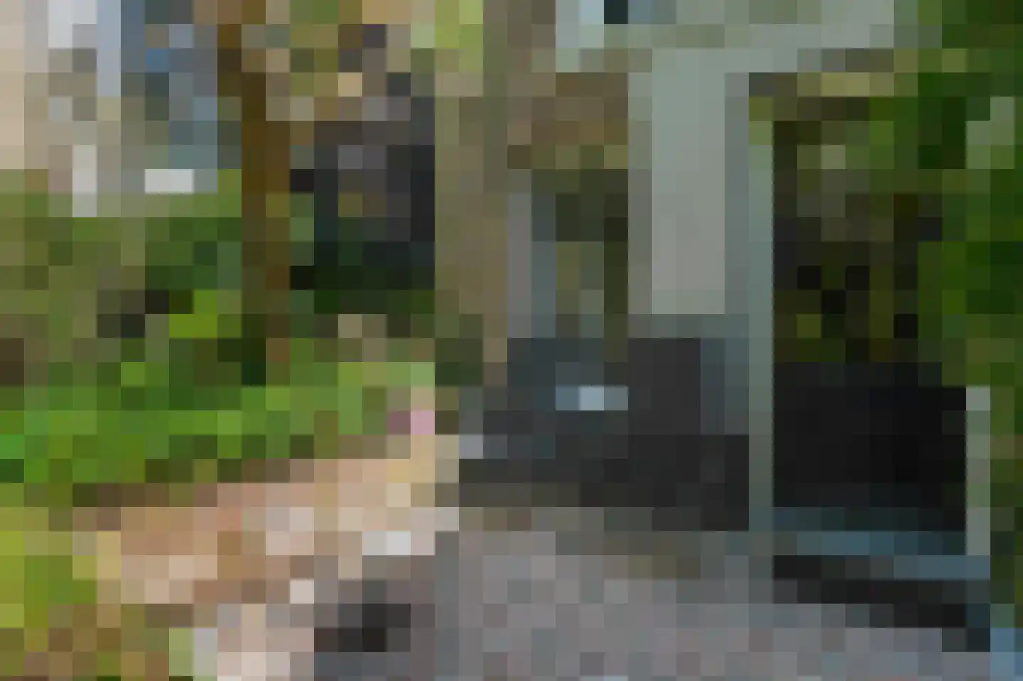 Keizersgracht 570 A Amsterdam thumbnail 55