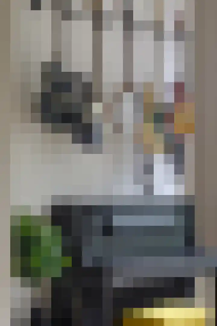 Keizersgracht 570 C Amsterdam thumbnail 11