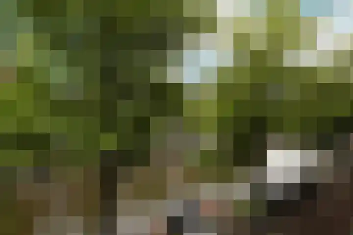 Keizersgracht 570 C Amsterdam thumbnail 36
