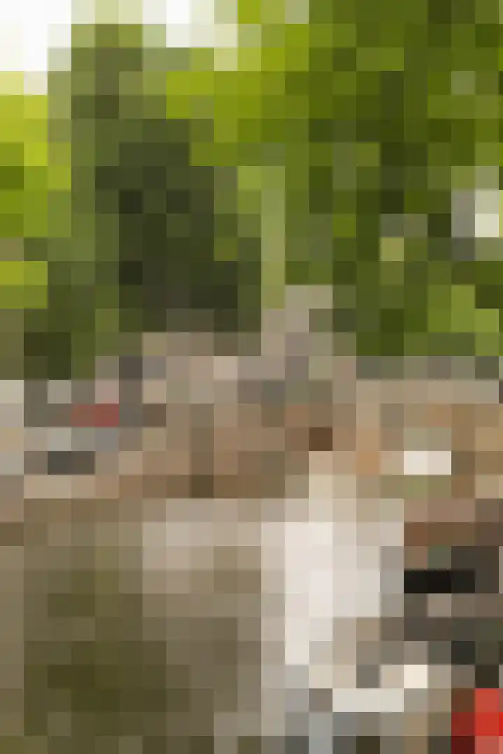 Keizersgracht 570 C Amsterdam thumbnail 42