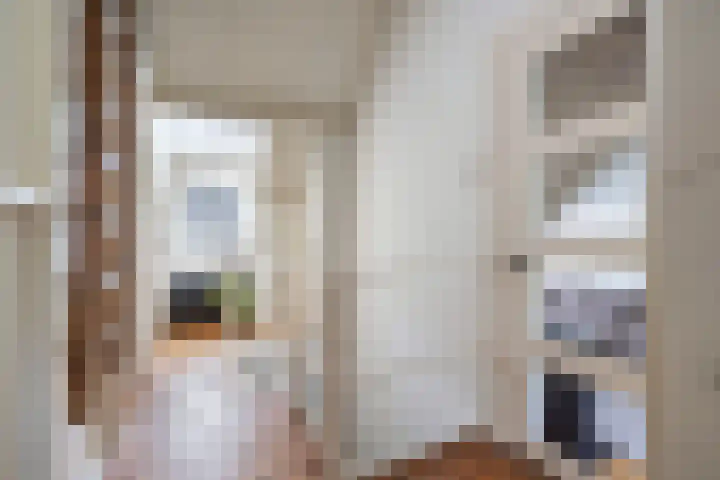 Keizersgracht 6 Utrecht thumbnail 21