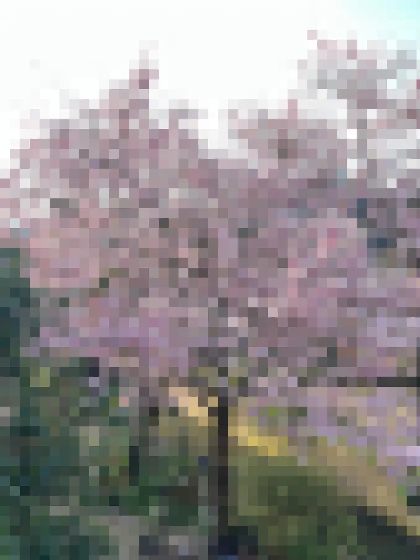 Keizersgracht 6 Utrecht thumbnail 26