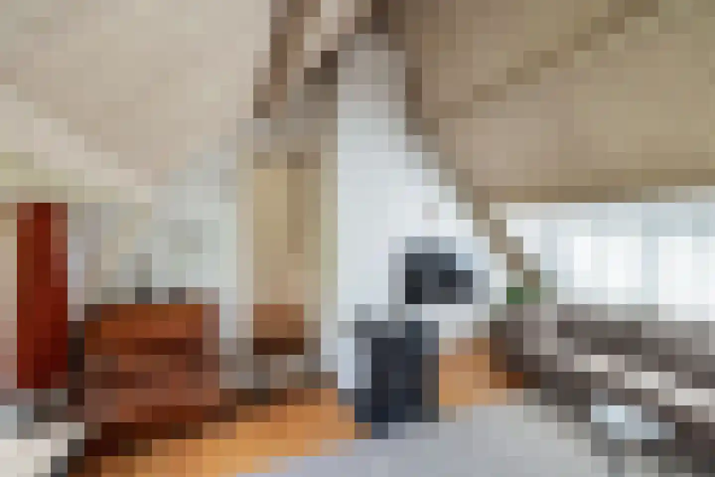 Keizersgracht 6 Utrecht thumbnail 28