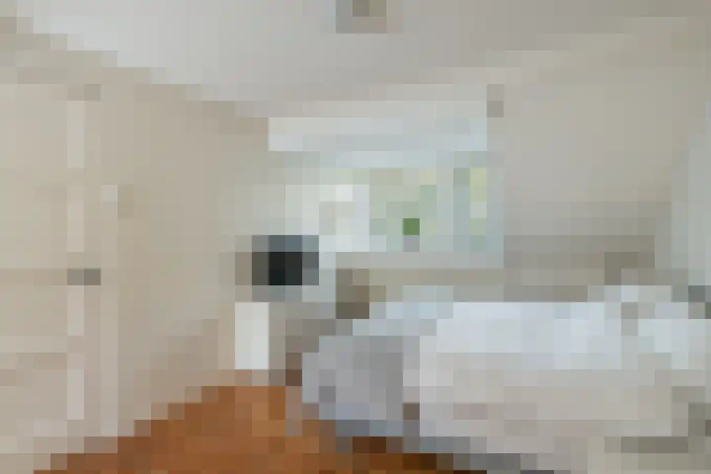 Keizersgracht 6 Utrecht thumbnail 31