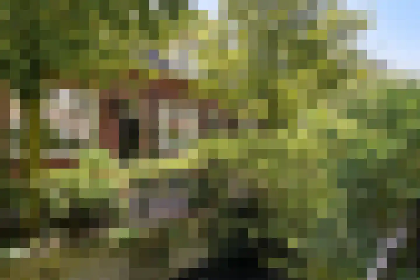 Keizersgracht 6 Utrecht thumbnail 35