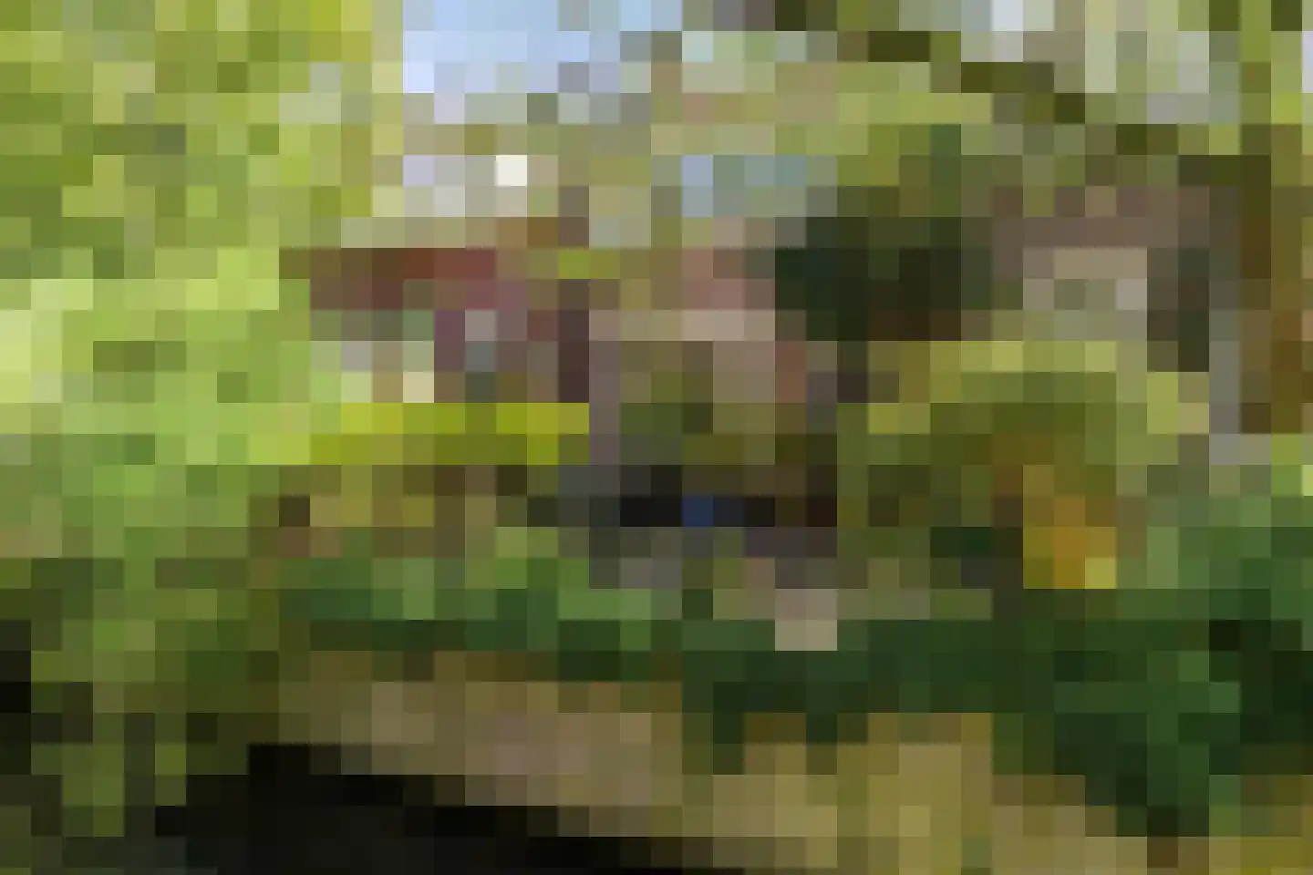 Keizersgracht 6 Utrecht thumbnail 36