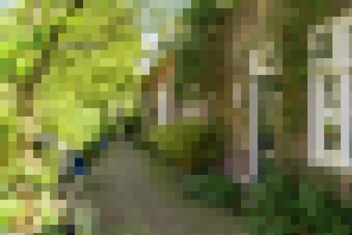 Keizersgracht 6 Utrecht thumbnail 39