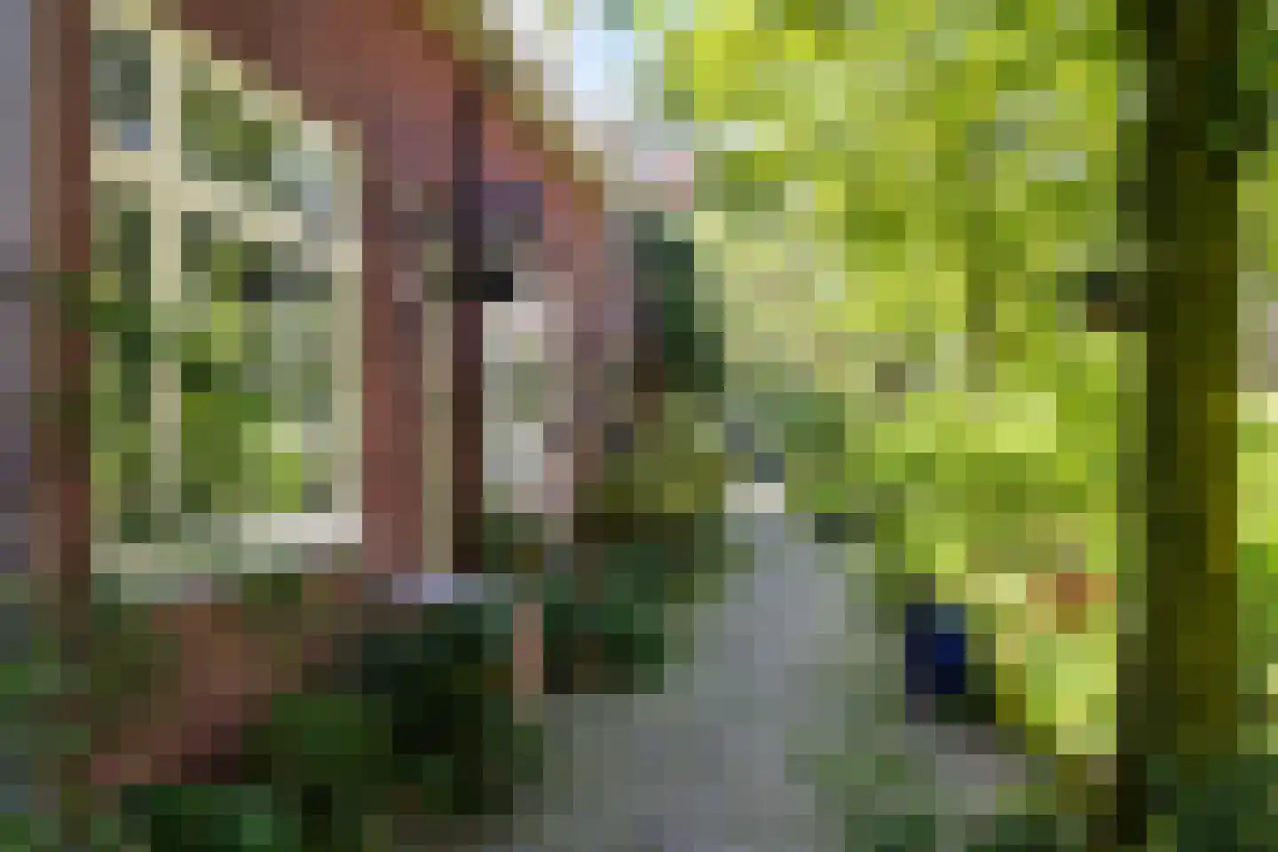 Keizersgracht 6 Utrecht thumbnail 40