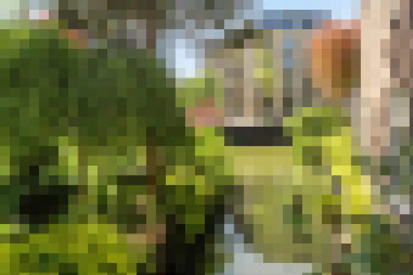 Keizersgracht 6 Utrecht thumbnail 44