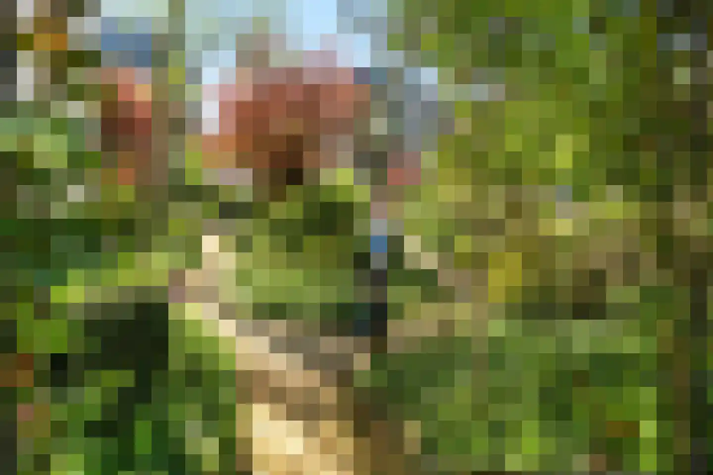 Keizersgracht 6 Utrecht thumbnail 45
