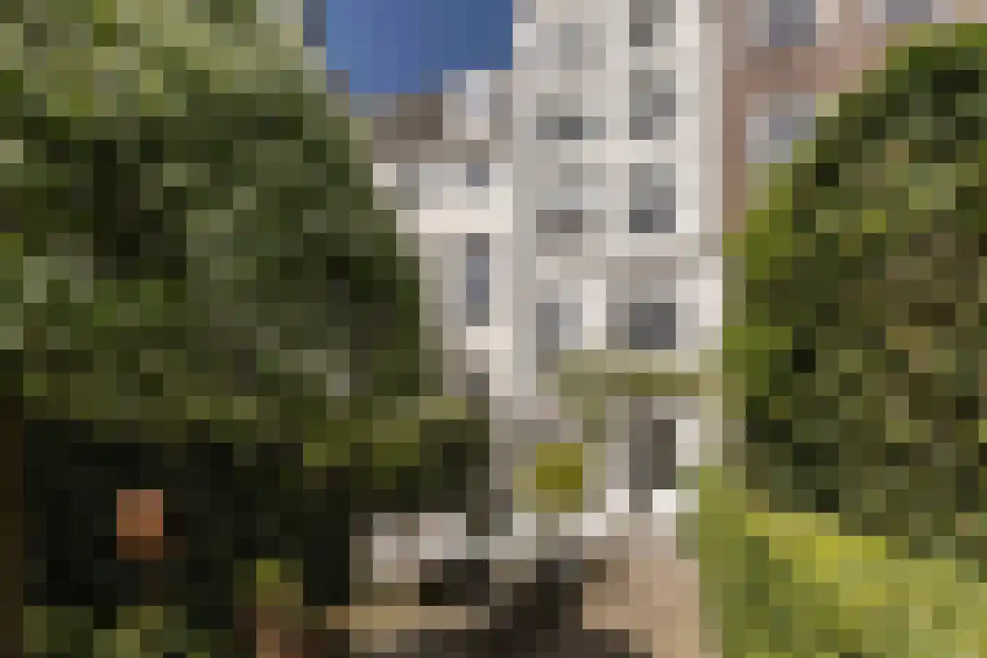 Keizersgracht 614 Amsterdam thumbnail 16