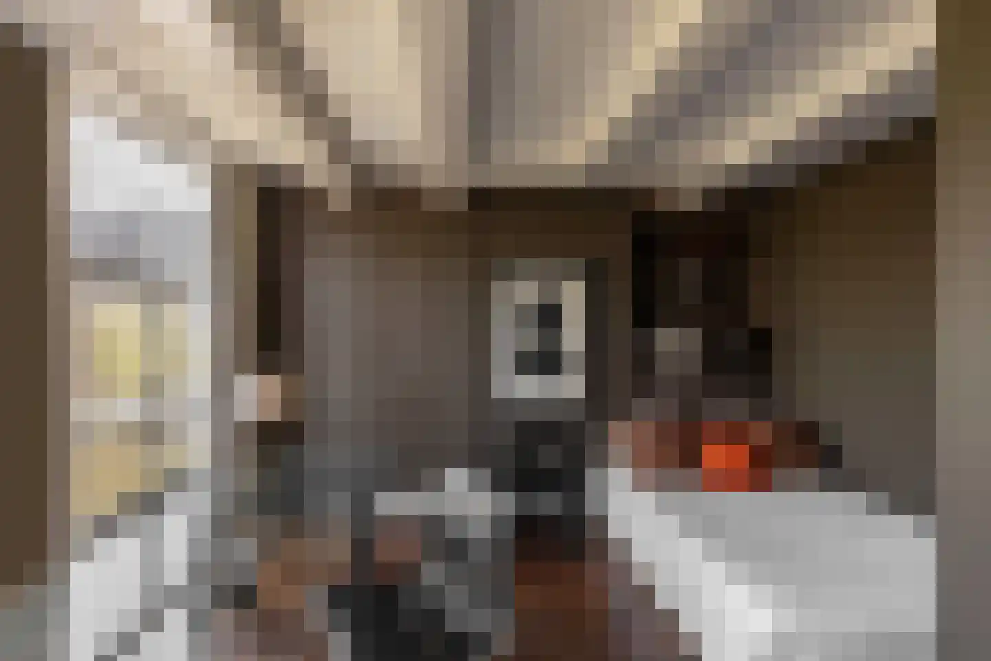 Keizersgracht 614 Amsterdam thumbnail 42