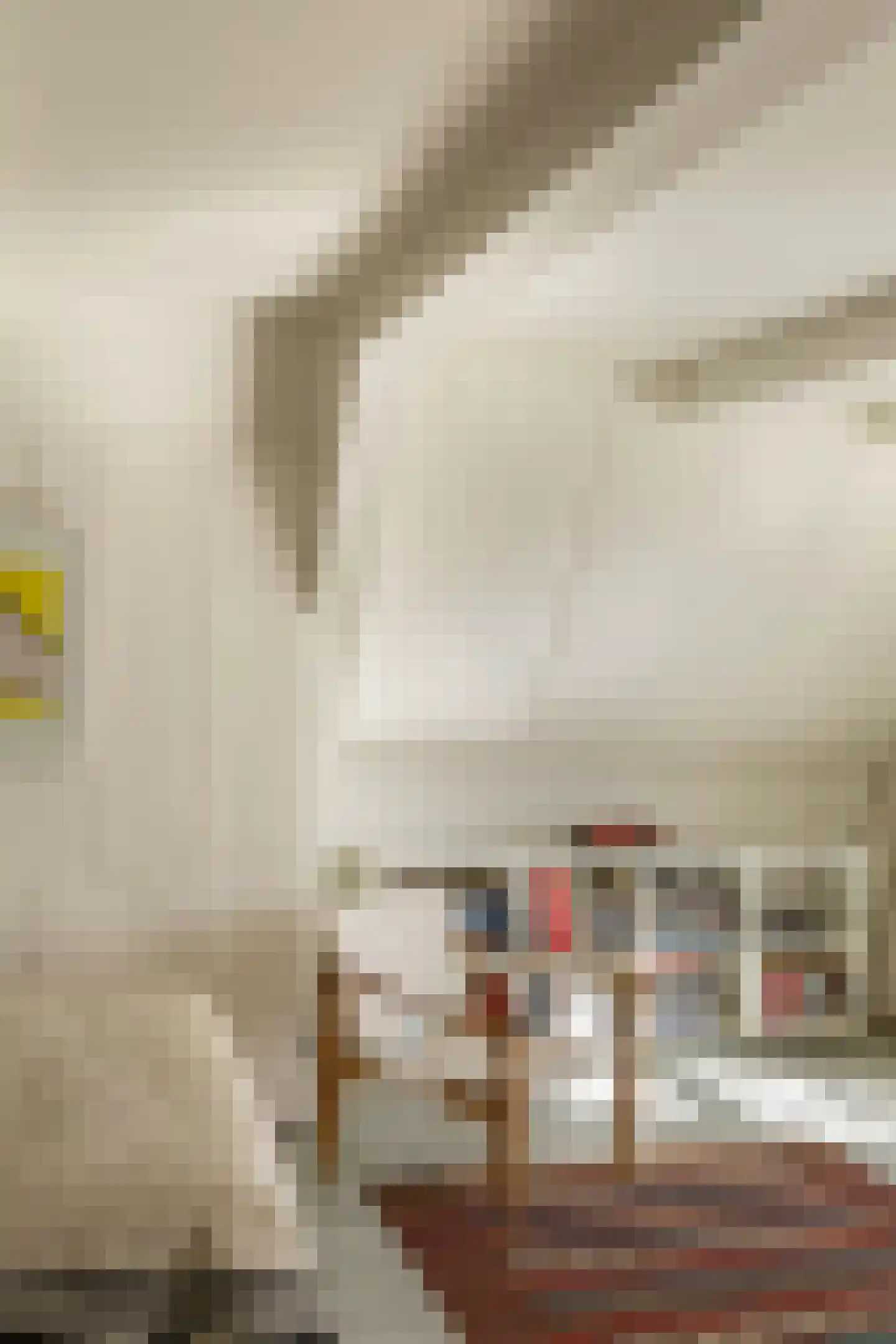 Keizersgracht 614 Amsterdam thumbnail 44