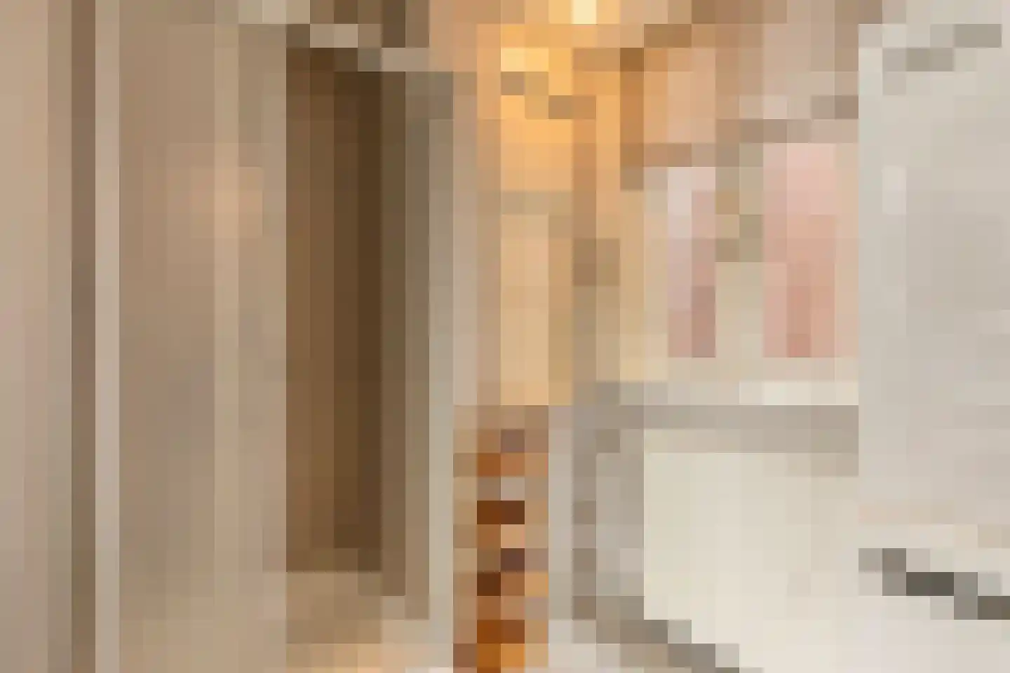 Keizersgracht 624 Amsterdam thumbnail 36