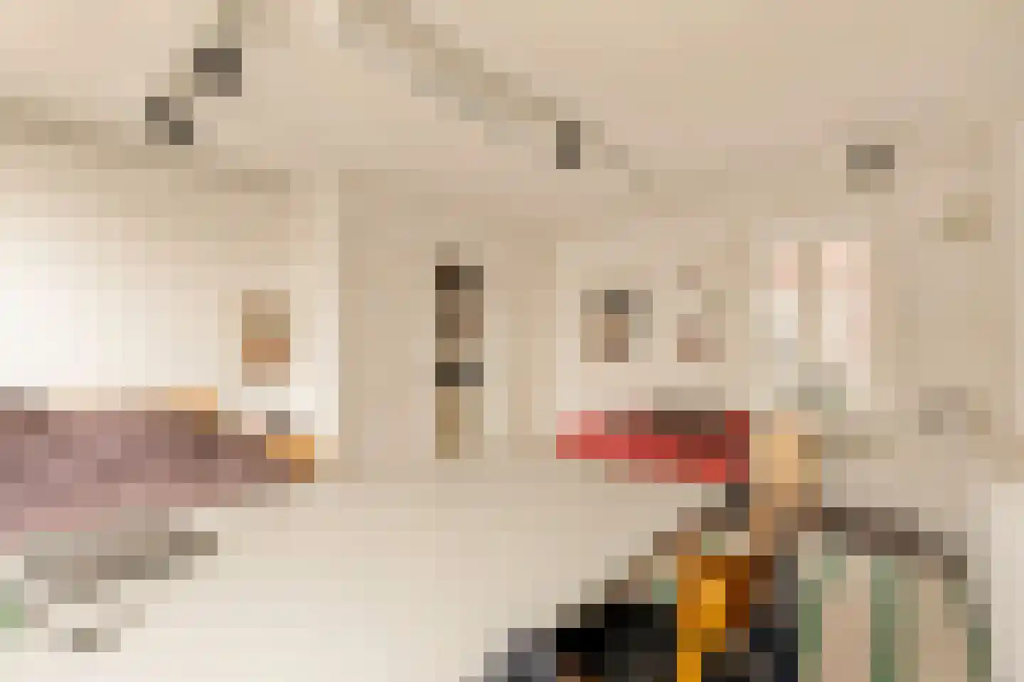 Keizersgracht 624 Amsterdam thumbnail 38