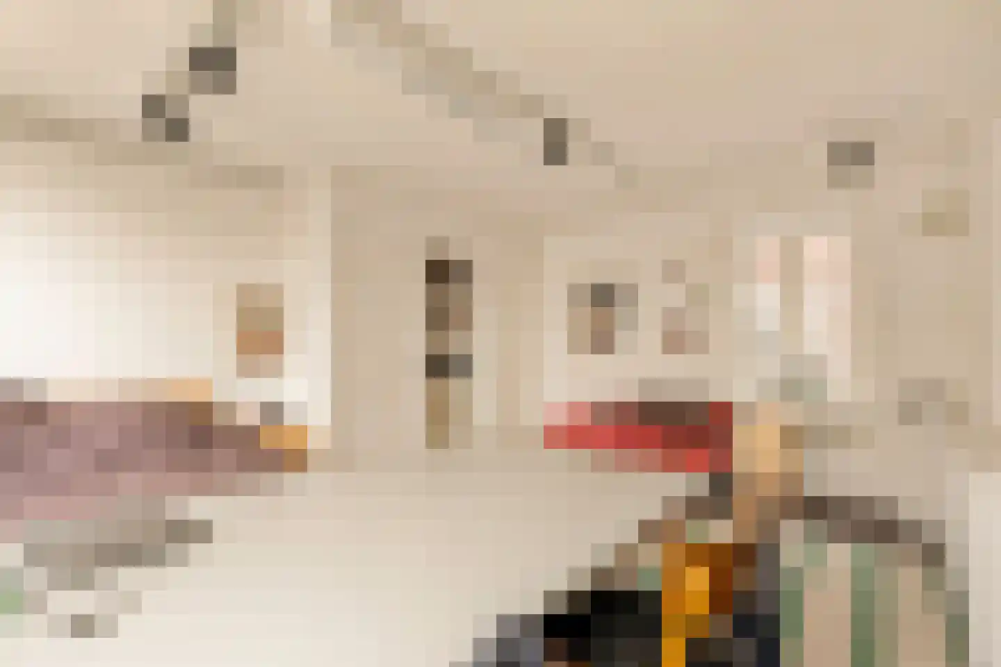 Keizersgracht 624 Amsterdam thumbnail 38