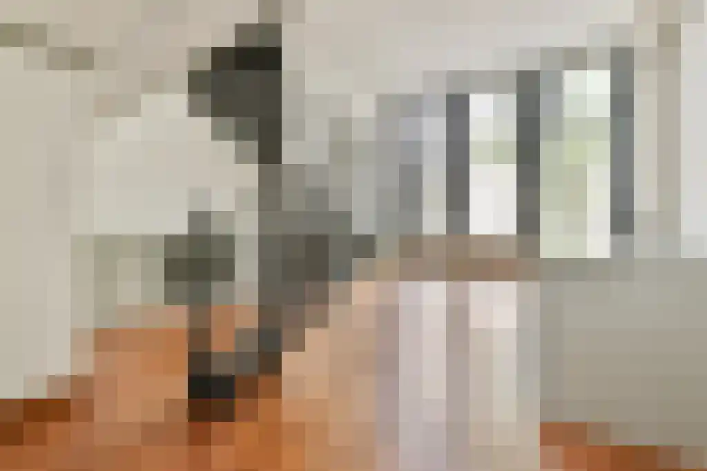 Keizersgracht 642 Amsterdam thumbnail 6